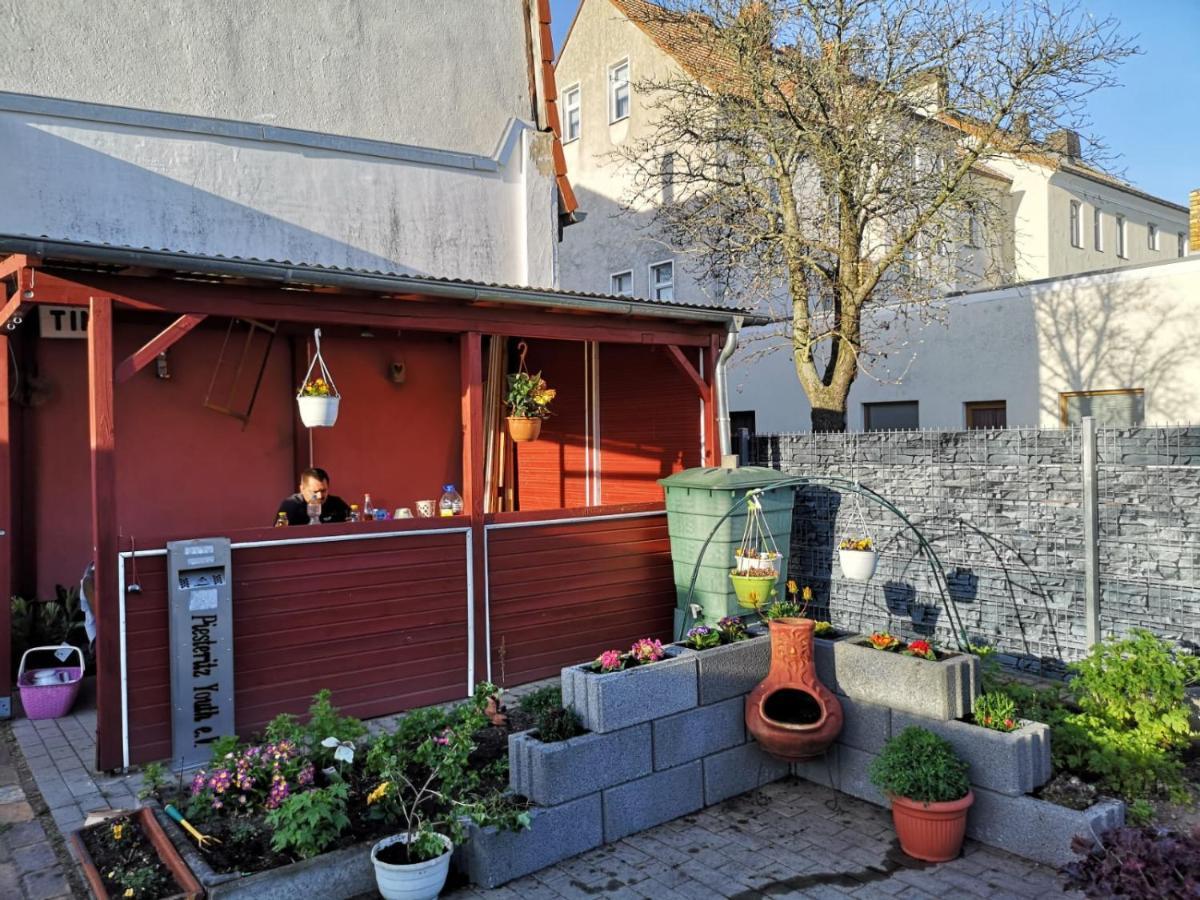 Pension Zur Gartenstadt Wittenberg Exteriör bild